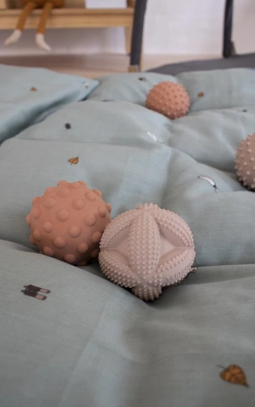 Filibabba - Speelgoed Motorische Vaardigheid - Isa Grijpbal - Blush 2 Filibabba - Speelgoed Motorische Vaardigheid - Isa Grijpbal - Blush - Afbeelding 2