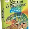 Bioviva Nature Challenge - Meesters Van De Camouflage - Educatief Spel