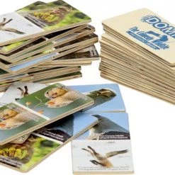 Houten Domino | The Comedy Wildlife | 28 Stukjes -leerzame-spellen Winkel 550x353 2