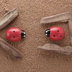 Yellow Door Lieveheersbeestjes Telstenen (set Van 22) -leerzame-spellen Winkel 550x354 4