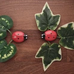 Yellow Door Lieveheersbeestjes Telstenen (set Van 22) -leerzame-spellen Winkel 550x354 5