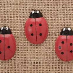 Yellow Door Lieveheersbeestjes Telstenen (set Van 22) -leerzame-spellen Winkel 550x354 6