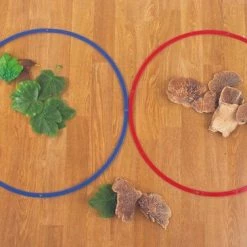 TickiT Sorting Rings -leerzame-spellen Winkel 550x365 7