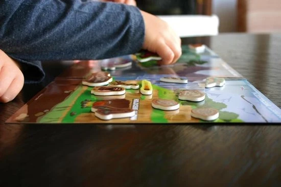 Miniland Magneetspel Evolution 20-delig 5 Miniland Magneetspel Evolution 20-delig - Afbeelding 5