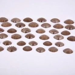 TickiT ECO FRIENDLY TACTILE SHELLS