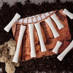 Yellow Door Activiteitenkaarten Meten Met Botten -leerzame-spellen Winkel 550x395 3