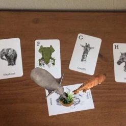 Octagon Studio - Dieren 4D And Voedsel 4D Reality-flash Kaarten STEM 8 Octagon Studio - Dieren 4D And Voedsel 4D Reality-flash Kaarten STEM -leerzame-spellen Winkel 550x410 3