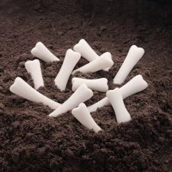 Dinosaurus Botten (steen) 12 Stuks - Yellow Door -leerzame-spellen Winkel 550x442