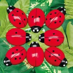 Yellow Door Lieveheersbeestjes Telstenen (set Van 22) -leerzame-spellen Winkel 550x522 7