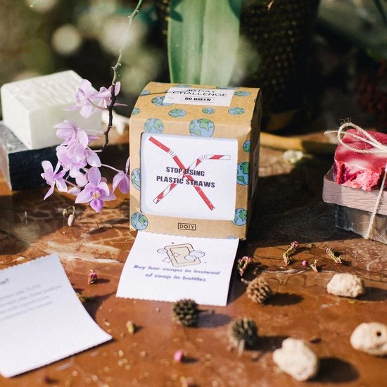 DOIY 30 Day Challenge - Groen Leven 2 DOIY 30 Day Challenge - Groen Leven - Afbeelding 2