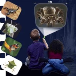 Brainstorm Toys Zaklampprojector Creepy Crawly - Griezelig 10 Brainstorm Toys Zaklampprojector Creepy Crawly - Griezelig -leerzame-spellen Winkel 550x553 3