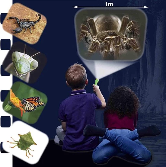 Brainstorm Toys Zaklampprojector Creepy Crawly - Griezelig 4 Brainstorm Toys Zaklampprojector Creepy Crawly - Griezelig - Afbeelding 4