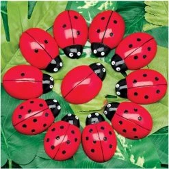 Yellow Door Lieveheersbeestjes Telstenen (set Van 22) -leerzame-spellen Winkel 550x556 5